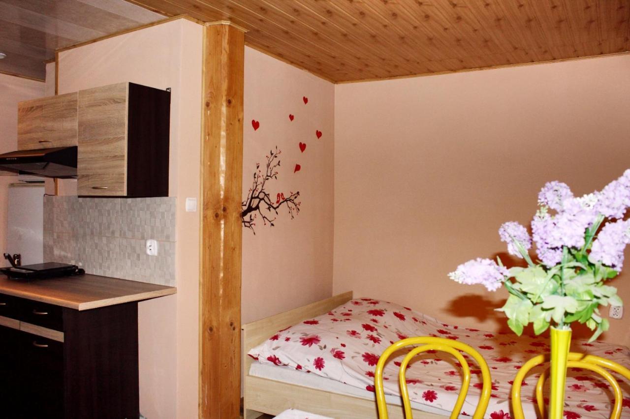 Pati Apartament Slonko Wisla Ngoại thất bức ảnh